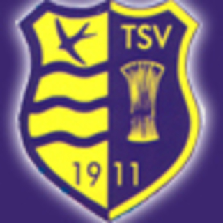 TSV Schwalbe Tündern v. 1911 e.V.