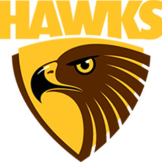 Hawks Netball Club (VNL)