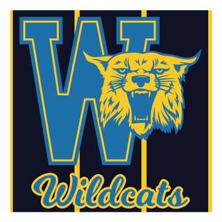 Wildcats Basketball Club (Geelong)