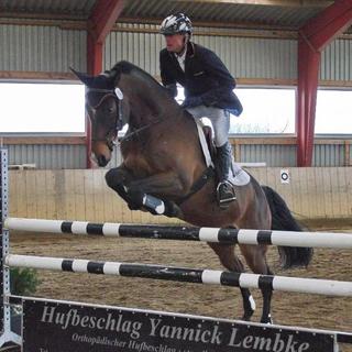 Reitverein Süderlügum e.V.