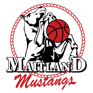 Maitland Mustangs Basketball Club