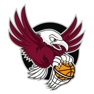 Manly Warringah Sea Eagles Basketball Club