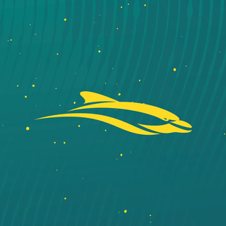 Australian Dolphins Swim Team