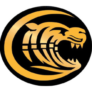 Colac Tigers