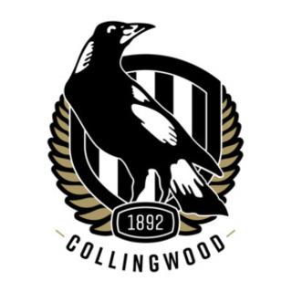 Collingwood Magpies Netball Club