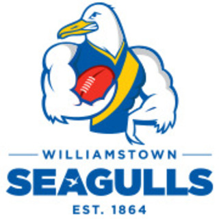 Williamstown Football Club - VFLW
