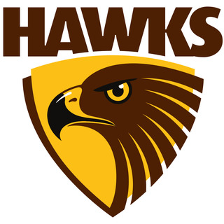 Hawthorn Hawks VFLW