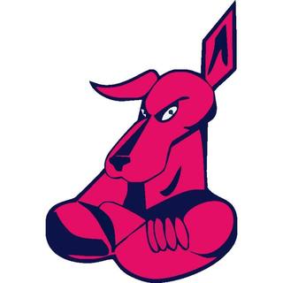 Anakie Football and Netball Club