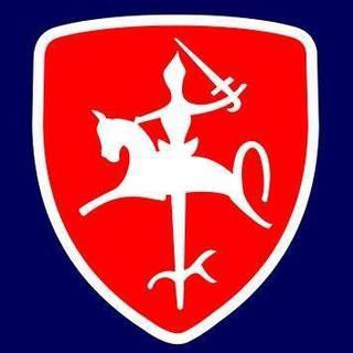 Vytis Basketball Club