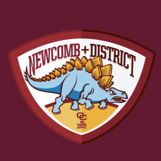 Newcomb & District Cricket Club