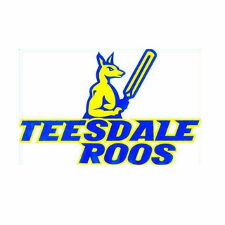 Teesdale Cricket Club