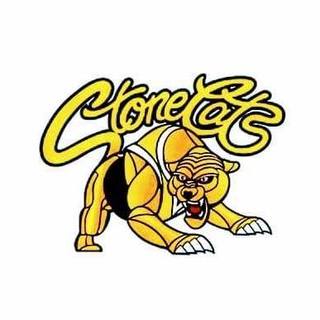 Frankston YCW Cricket Club