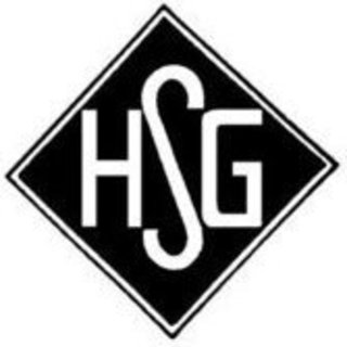 Holzheimer Sportgemeinschaft 1920 e.V.