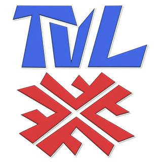 Turnverein 1891 Lemberg e.V.