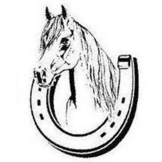 Reit- und Fahrverein Bad Schönborn e.V.