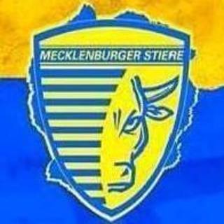 Mecklenburger Stiere Schwerin e.V.