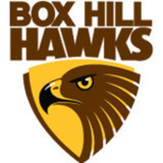 Box Hill Hawks Football Club