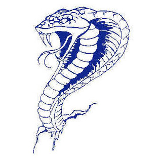 Albanvale Football Club