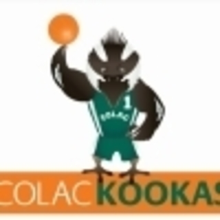 Colac Basketball Association