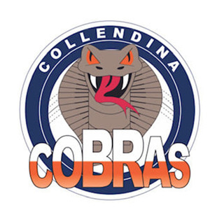 Collendina Cricket Club
