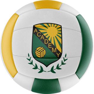 Academy of Volleyball