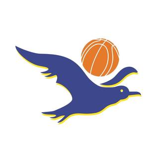 Chelsea Gulls Basketball Club