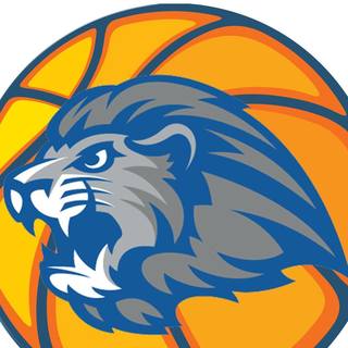 Lalor Lions Basketball Club