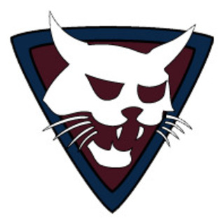 Bobcats Hockey Club (Ballarat)
