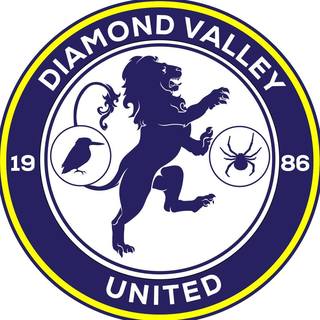 Diamond Valley United Soccer Club