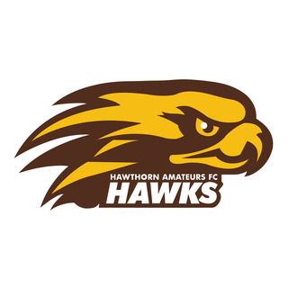 Hawthorn Amateur Football Club