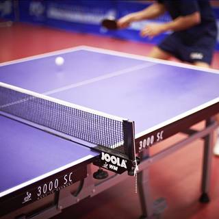 Tischtennisclub Landau a.d. Isar e.V.