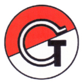 Turngemeinde Geislingen e.V.