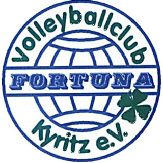 Volleyballclub 