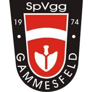 Spielvereinigung Gammesfeld e.V.