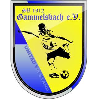 Sportverein 1912 e.V. Gammelsbach