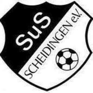 Spiel- u. Sportverein Scheidingen e.V.