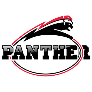 1. Düsseldorfer Football-Club 1978 e.V. Panther