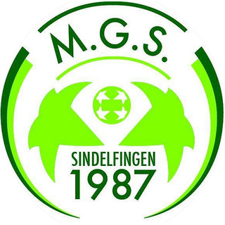 Milli Genclik Spor Sindelfingen  e.V.
