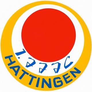 1. Hattinger Judo u. Jiu Jitsu Club 1954 e.V.