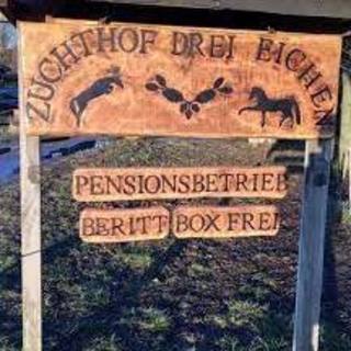 Reit- und Fahrverein Velten e.V.