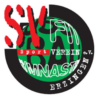 Sportverein Erzingen e.V.