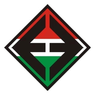 SpVgg Eintracht Erfurt 94 e.V.