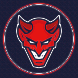 Verein für Eissport Ulm/Neu-Ulm e.V.