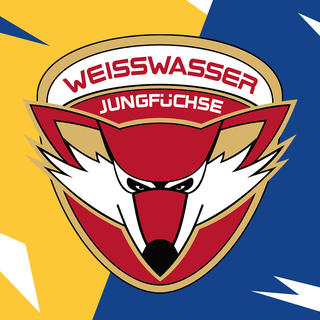 EISSPORT Weißwasser e.V.