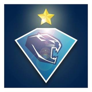 ERC Ingolstadt Panther e.V.