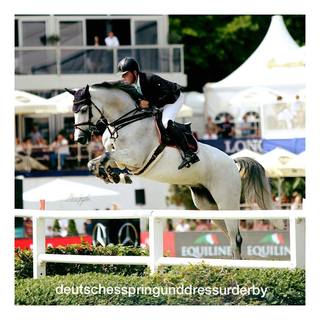 Reitverein Stechlin-Menz e.V.