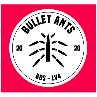 Bullet Ants e.V.