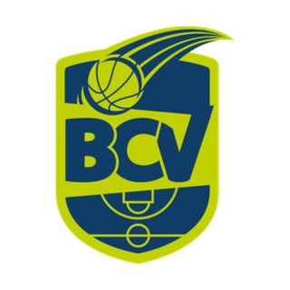 Basketball Club Vogtland e.V.