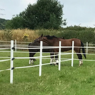 Reitsportzentrum Lichtenholz e.V.