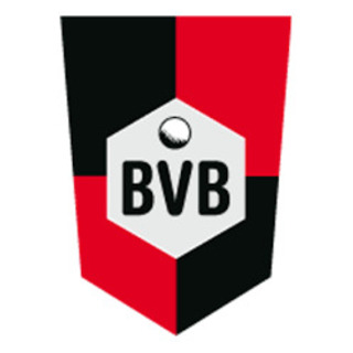 SV BVB 94 e.V.